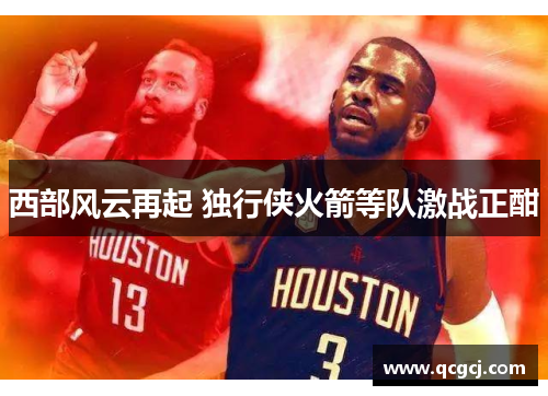 西部风云再起 独行侠火箭等队激战正酣